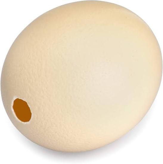 Ostrich Eggshell